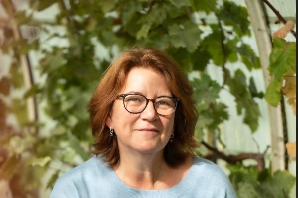 mireille 2 mireille 2